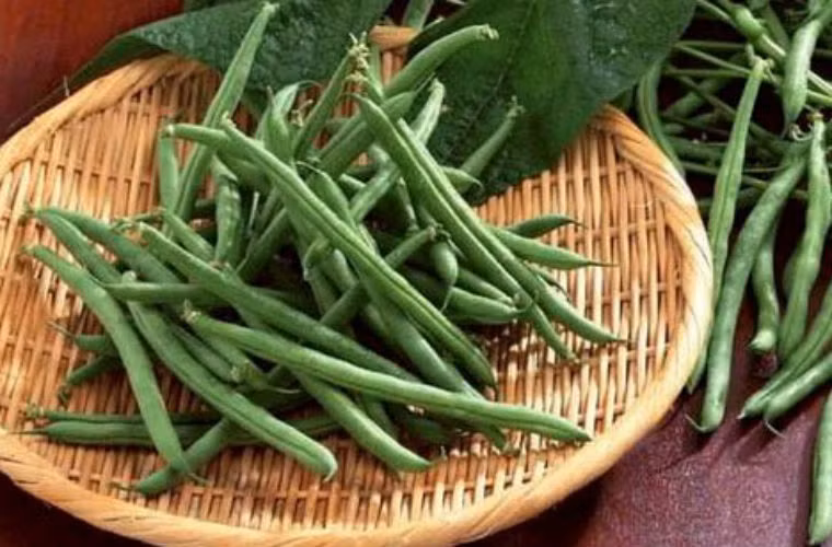 Họ nhà đậu và các sản phẩm từ đậu nành: trong các loại đậu, đậu nành, đậu Hà Lan, đậu lăng, đậu xanh đều chứa axit nucleic có thể ngăn ngừa ung thư.