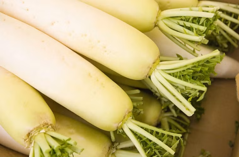 Củ cải và cà rốt: chứa rất nhiều vitamin C, ngoài ra cà rốt rất giàu carotene, chúng đều có tác dụng tuyệt vời trong phòng chống ung thư .