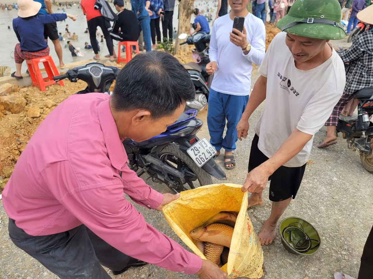 Nhiều loại cá như trắm, trôi, chép, mè ... tại hồ Cầu Bè được người dân bắt được.