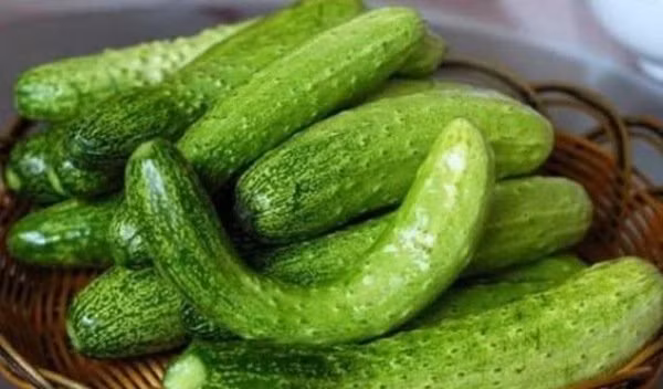 Mua dưa chuột muốn chọn quả ngon sạch, đặc ruột, không bị đắng - Hình 3 Mua dua chuot muon chon qua ngon sach, dac ruot, khong bi dang-Hinh-3