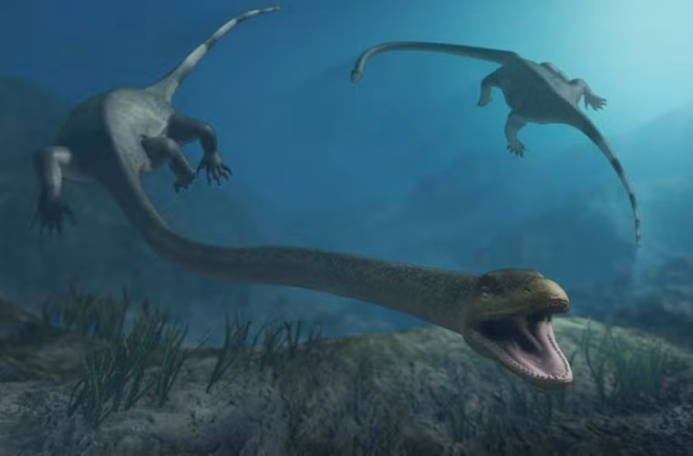  Tanystropheus tuy không hẳn là loài sống dưới biển, nhưng thức ăn chủ yếu của nó là cá và các nhà khoa học thống nhất rằng chúng dành nhiều thời gian dưới nước. Loài bò sát này có thể dài tới 6m, và nó sống cách đây khoảng 215 triệu năm.