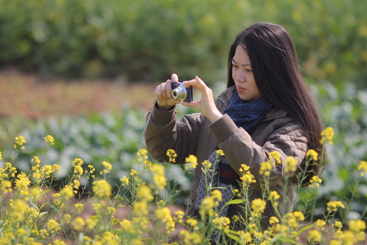 Không chỉ có teen mà cả giới nhân viên văn phòng, những người đã có gia đình cũng bị hoa cải chinh phục.