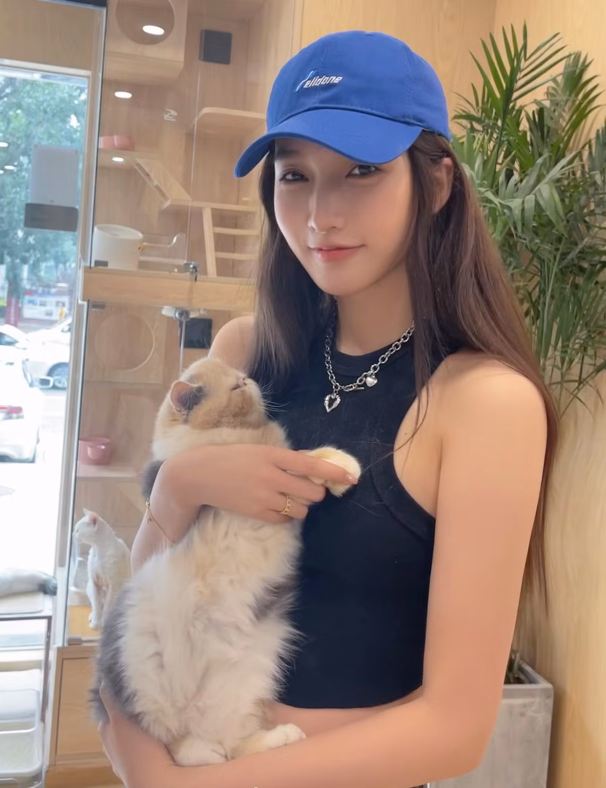 Dien bien cang thang vu Ngo Diec Pham yeu 8 co gai-Hinh-4