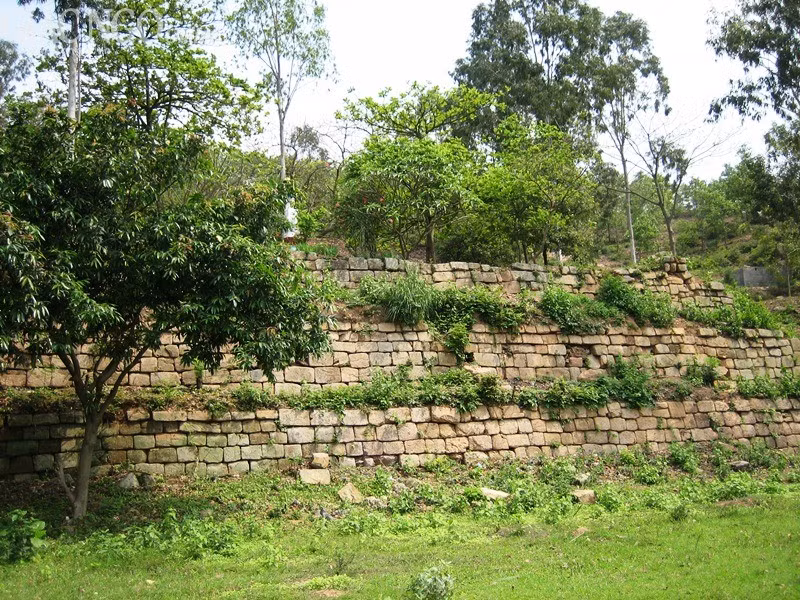 Quang cảnh phế tích chùa Dạm.