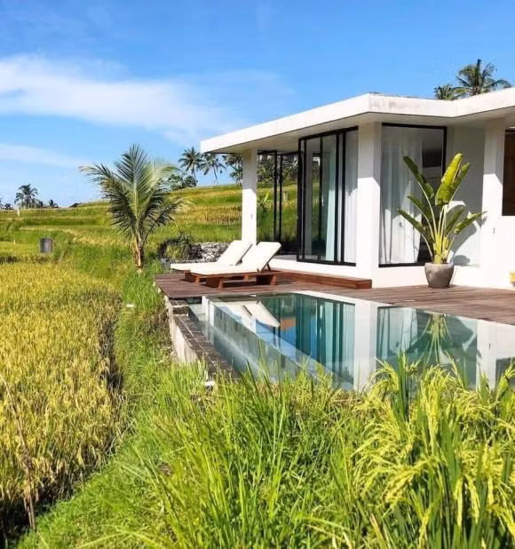 Xây nhà cấp bốn trước cánh đồng lúa, không gian xanh mát "mướt mắt" Xay nha cap bon truoc canh dong lua, khong gian xanh mat