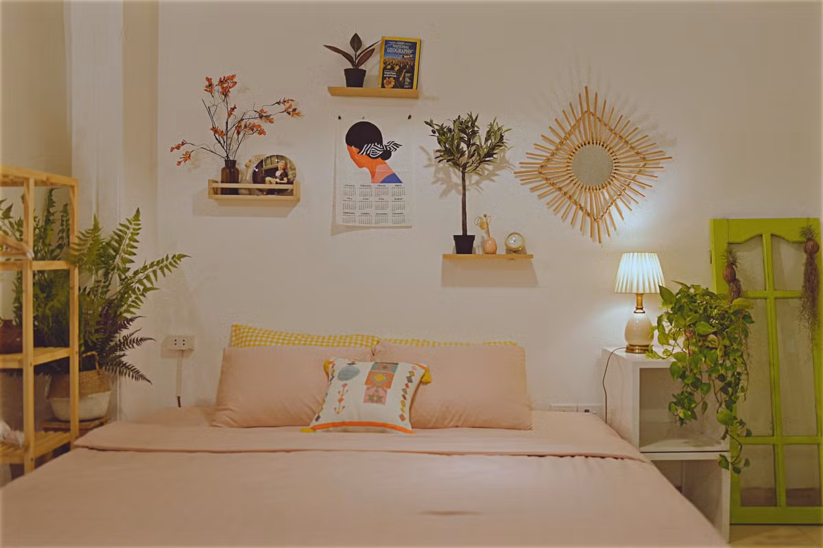 Phòng trọ cũ hóa không gian vintage, ngập cỏ cây hoa lá với vài bước cơ bản ảnh 18