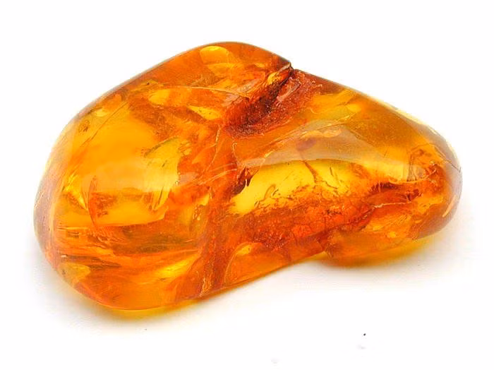 Hổ phách được hình thành từ nhựa cây của các loài cây cổ thụ, chủ yếu thuộc họ lá kim. Qua hàng triệu năm, nhựa cây này bị chôn vùi dưới lòng đất và trải qua quá trình hóa thạch, tạo nên những viên hổ phách trong suốt và rực rỡ. (Ảnh: Daniel Burge)