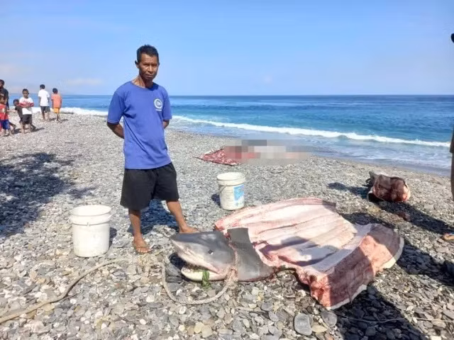 Các đội cứu hộ đã tìm kiếm trong tám ngày nhưng không thành công và phải từ bỏ do điều kiện nguy hiểm trên biển. Thi thể được tìm thấy vẫn mặc bộ đồ lặn màu đen và có vẻ là một phụ nữ phương Tây. (Ảnh: ViralPres)