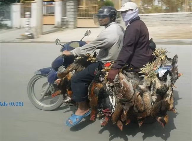 Tới Hà Nội vào tháng 12/2004, anh tới thăm lăng Chủ tịch Hồ Chí Minh sau đó tới bảo tàng quân đội và không quân ở Hà Nội, cuối cùng anh đi tới Hỏa Lò nằm tại con phố cùng tên. So với thời điểm 20 năm trước, hiện tại nhà tù Hỏa Lò vẫn tiếp tục là điểm đến "ghi điểm" trong lòng khách du lịch trong và ngoài nước.