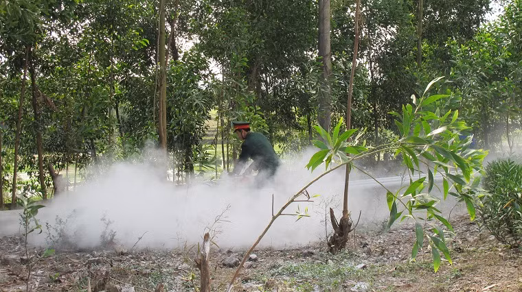 Ngọn lửa bùng phát giữ dội, Phân kho 86 phối hợp với lực lượng chữa cháy chuyên nghiệp, lực lượng tăng cường của Phân kho 78 và Trung đoàn 927, Sư đoàn 371, Quân chủng Phòng không-Không quân, Phòng Cảnh sát PCCC và CNCH, Công an tỉnh Bắc Giang đến từ nhiều hướng bao vây đám cháy, triển khai đội hình tiếp nước, phòng chống cháy lan… Ban CHQS huyện, Công an huyện Lạng Giang, Công an xã Đào Mỹ, Nghĩa Hưng, Bố Hạ, Dân quân xã Đào Mỹ nhanh chóng đến hiện trường, bảo vệ vòng ngoài, giữ gìn an ninh trật tự, điều chỉnh giao thông, thông báo, báo động, hướng dẫn nhân dân sơ tán ra khỏi khu vực nguy hiểm để bảo đảm an toàn. Các lực lượng tham gia chữa cháy tại chỗ và chuyên nghiệp đã nhanh chóng dập tắt đám cháy.
