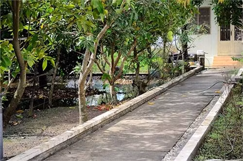Đi sâu hơn là lối đi riêng dẫn ra phía vườn cây ăn trái.