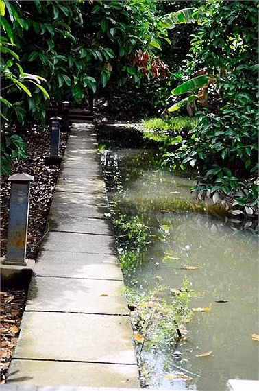 Cạnh đó còn có thêm lối đi dẫn ra một góc khác của khu vườn lớn với ao hồ xung quanh.
