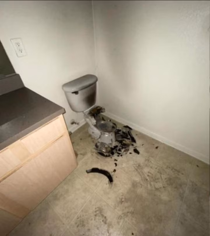 Sét đánh toilet căn hộ, nhìn cảnh hiện trường mà không thể tin nổi - Hình 3 Set danh toilet can ho, nhin canh hien truong ma khong the tin noi-Hinh-3