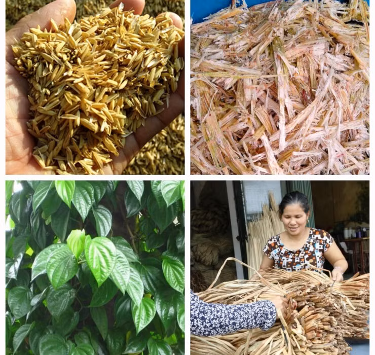 Ngheo rot mong toi bong doi doi nho thu rac thai nay