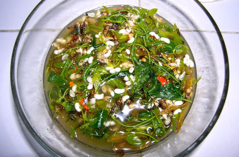Sự hấp dẫn của súp trứng kiến không do nguyên liệu đắt tiền, khó kiếm mà đến từ vị ngọt thanh tự nhiên. Ngoài sự thơm ngon, người ăn còn vô cùng thích thú khi cảm nhận từng trái trứng kiến li ti, căng bóng nổ tí tách trong miệng.