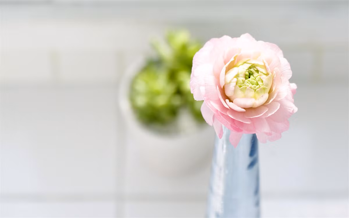 Người sinh vào ngày 30 Âm lịch thường vượng vận quý nhân. Xung quanh họ có nhiều người tốt, mang đến cho họ nhiều cơ hội quý giá trong sự nghiệp.