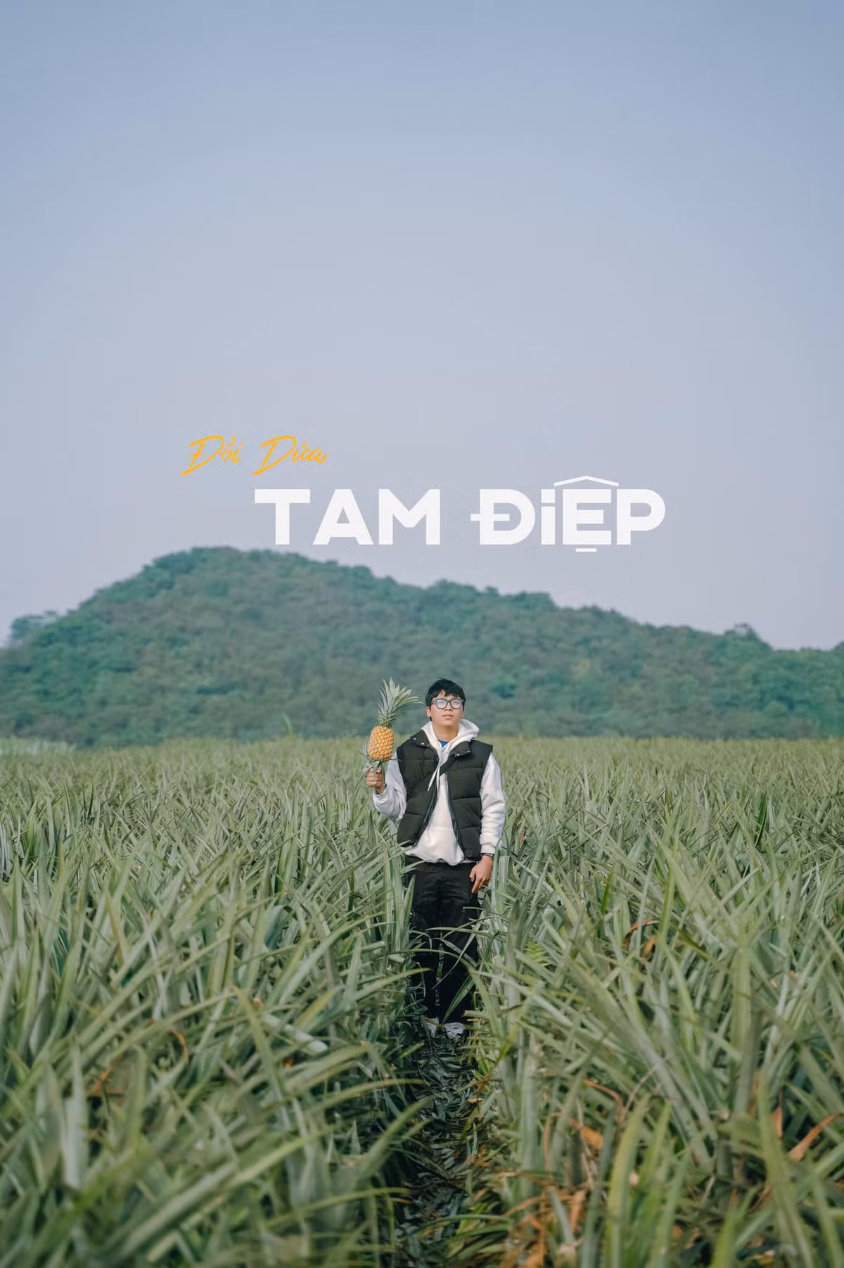 Canh dong dua lon nhat mien Bac dep me ly, chi cach Ha Noi 100km-Hinh-2