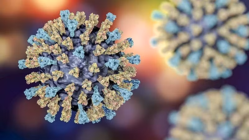 Virus soi dot bien lien quan den benh viem nao gay tu vong