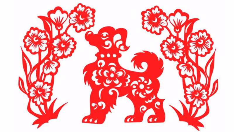  Thế nhưng, “lửa thử vàng, gian nan thử sức”, chính những trải nghiệm trong quá khứ đã tôi luyện nên một bản lĩnh kiên cường và một kho tàng kinh nghiệm quý báu cho người tuổi Tuất. Bước vào độ tuổi trung niên, vận mệnh của họ bắt đầu thay đổi một cách ngoạn mục.