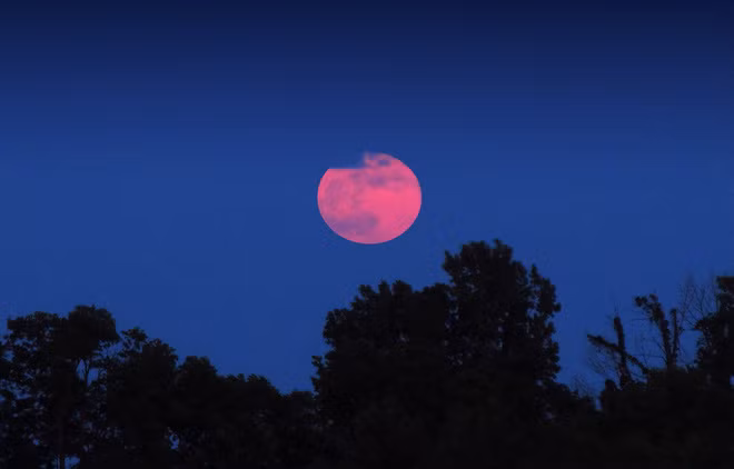Theo Almanac, thời điểm tốt nhất để có thể quan sát Strawberry Moon đó chính là lúc 18h51 phút đến 21h47 phút (giờ Việt Nam) ngày 14/6 (tức ngày 16 tháng 5 âm lịch). Mặt Trăng sẽ xuất đạt đỉnh cao nhất trên bầu trời trong đêm lúc 23h46 phút.