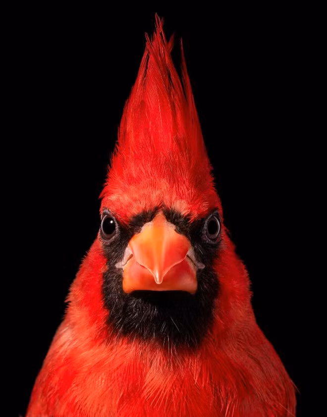 br/> 