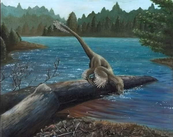Khủng long Sinornithosaurus millenii đang uống nước.
