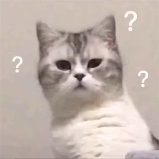 Cùng với nét biểu cảm đa dạng, boss mèo đang chiếm lĩnh kho hình meme của rất nhiều "con sen". Ngắm nhìn những khoảnh khắc hài hước này có thể giúp bạn bật cười thành tiếng, giải toả căng thẳng và lấp đầy một ngày bằng rất nhiều "vitamin đáng yêu".