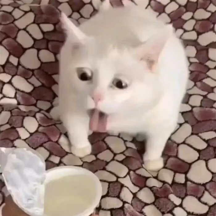 br/> Món gì mà dở quá vậy? Người đâu, cứu giá!