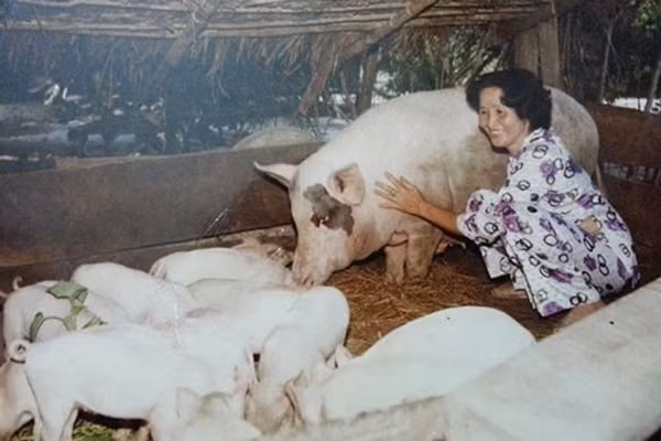  Mẹ ruột Hoài Linh - Dương Triệu Vũ là người phụ nữ Việt Nam chịu thương, chịu khó điển hình. Được biết trước đây, mẹ ruột Hoài Linh từng có quá khứ khó khăn. Trong khoảng thời gian ba của Hoài Linh vắng nhà, mẹ anh phải vất vả một mình nuôi 5 con và 2 người mẹ già. Có lúc, bà phải sống ở chuồng heo mà người ta mới xây xong và chưa kịp nuôi heo. Bên cạnh đó, mẹ Hoài Linh còn làm nhiều nghề để kiếm tiền nuôi các con.