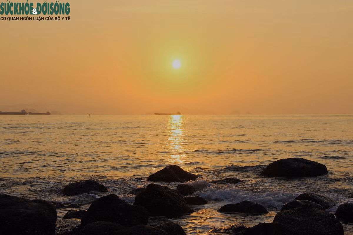 Bãi Đông mang trong mình một vẻ đẹp hoang sơ của tự nhiên, như chưa từng được khai thác. Cùng với đó là không khí trong lành, mát mẻ, êm dịu khiến nhiều người luôn lựa chọn đây là nơi nghỉ dưỡng cho ngày cuối tuần và kỳ nghỉ dài.