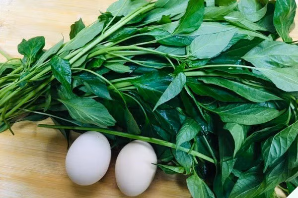 Lá này canxi gấp 2 lần sữa, nấu canh rất ngon - Hình 2 La nay canxi gap 2 lan sua, nau canh rat ngon-Hinh-2