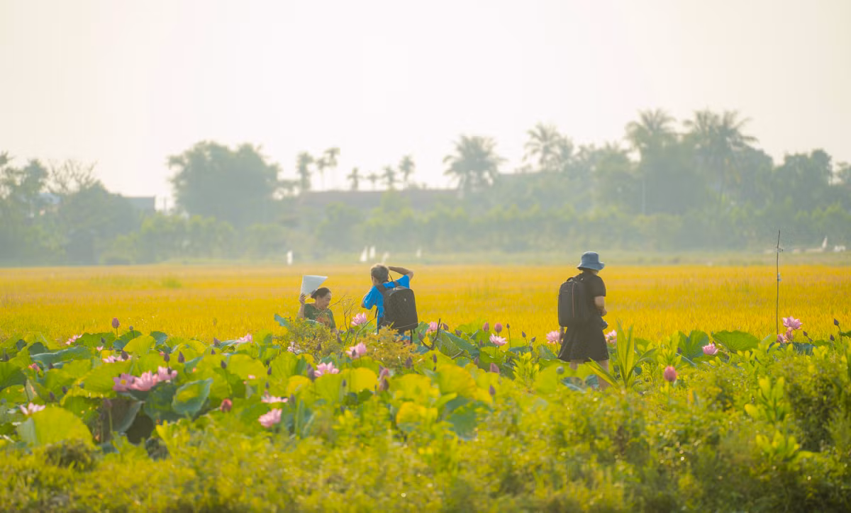 Diem den trong nuoc ngap sac hoa dip he-Hinh-4