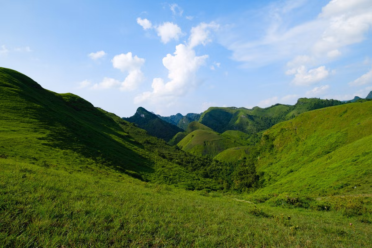 Mỗi mùa, đồi cỏ Vinh Quý lại mang một vẻ đẹp khác nhau. Trong đó, khoảng thời gian từ tháng 5 đến tháng 10 hàng năm được xem là thời điểm lý tưởng nhất để du khách tới khám phá và trải nghiệm nơi đây. Lúc này, khu vực đồi cỏ Vinh Quý bước vào mùa cỏ xanh mướt rất đẹp, còn không khí dễ chịu, mát mẻ và trong lành. (Ảnh: Đàm Anh)