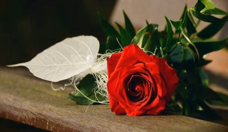 Người sinh 3 tháng Âm lịch này, làm lụng vất vả, hậu vận an nhàn Nguoi sinh 3 thang Am lich nay, lam lung vat va, hau van an nhan