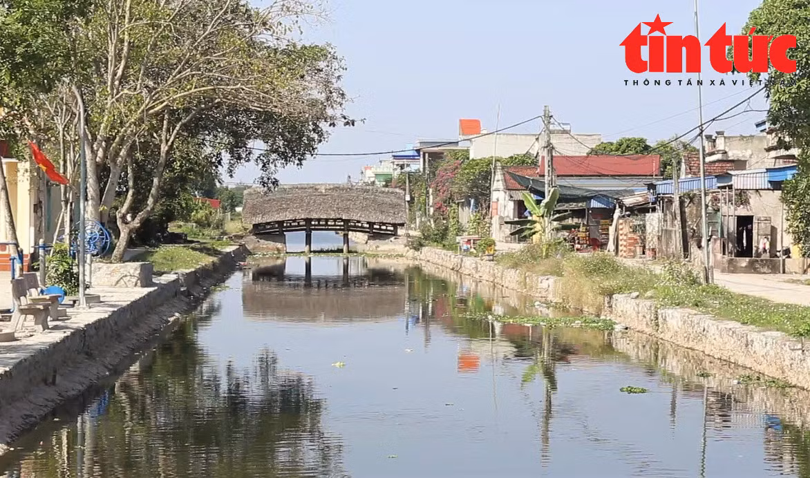 Chiem nguong nhung cay cau co bac nhat Viet Nam o Nam Dinh-Hinh-15