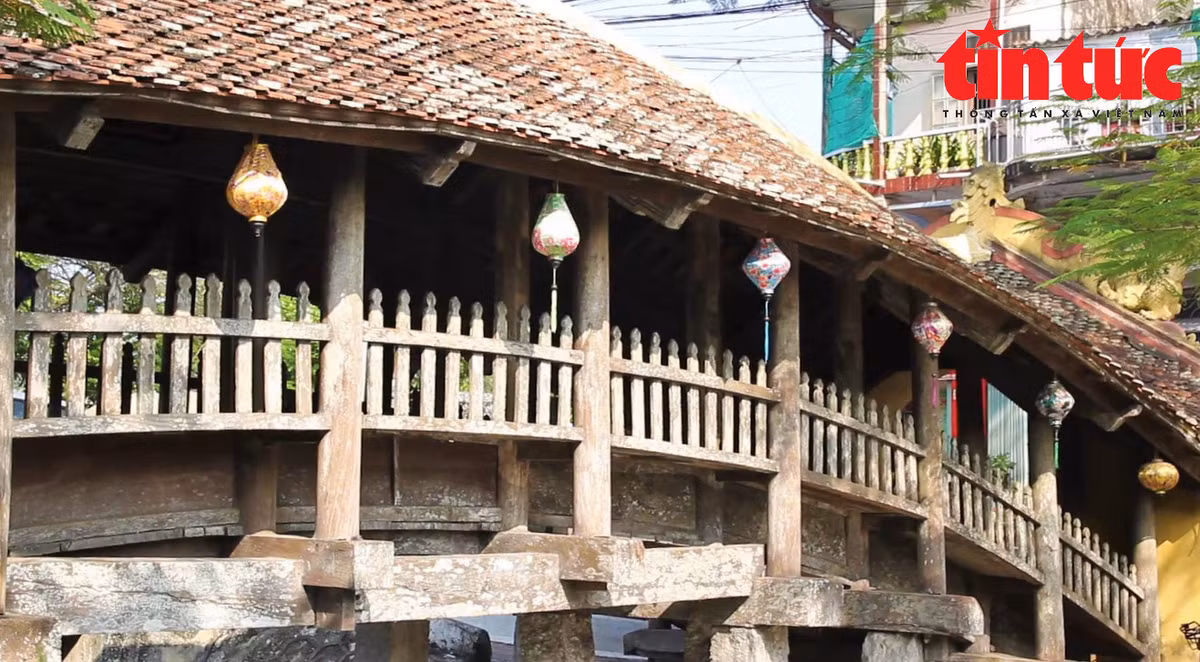 Chiem nguong nhung cay cau co bac nhat Viet Nam o Nam Dinh-Hinh-5