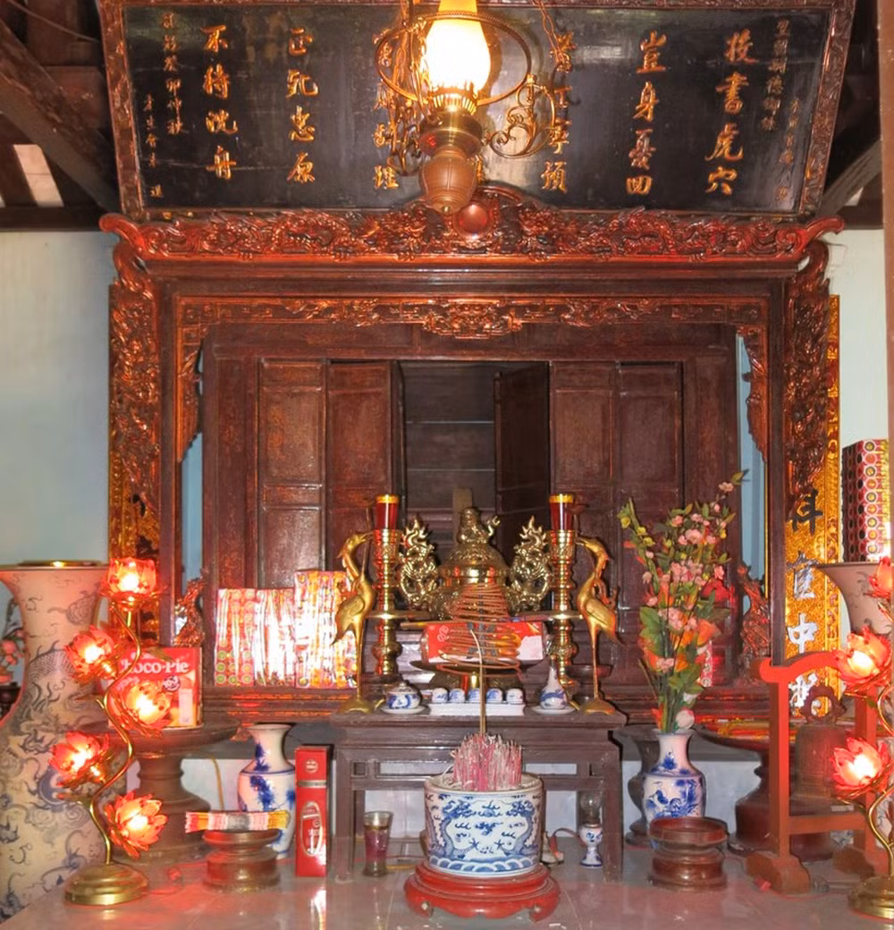 Vi dai khoa nao co 