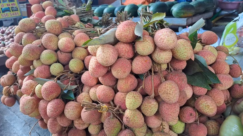Vai thieu dau mua gia re bat ngo