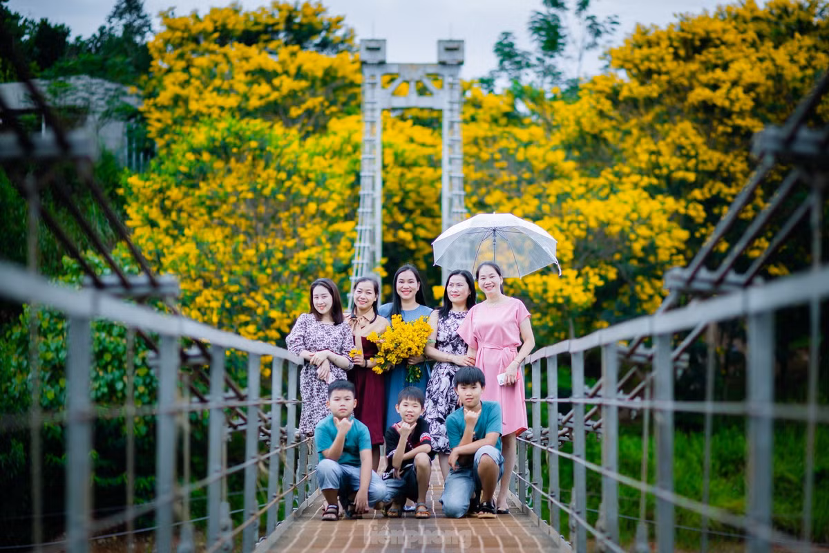 Chị Đinh Thùy Ngân (34 tuổi, Nam Định) cho biết, tôi cùng gia đình chọn du lịch ở Đắk Nông vì khí hậu ở đây khá mát mẻ. Khu vực cầu treo Đắk R'Moan có hoa phượng vàng nở, phủ sắc khiến hồ chứa nước ở đây đẹp tuyệt vời. Chụp ảnh trên cầu treo là một trải nghiệm thú vị, xen lẫn mạo hiểm.
