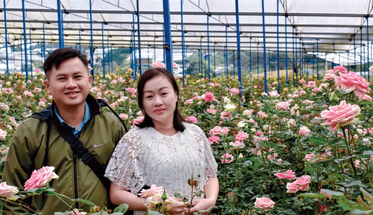 Ca the gioi hoa khoe sac o Da Lat, Lam Dong-Hinh-5