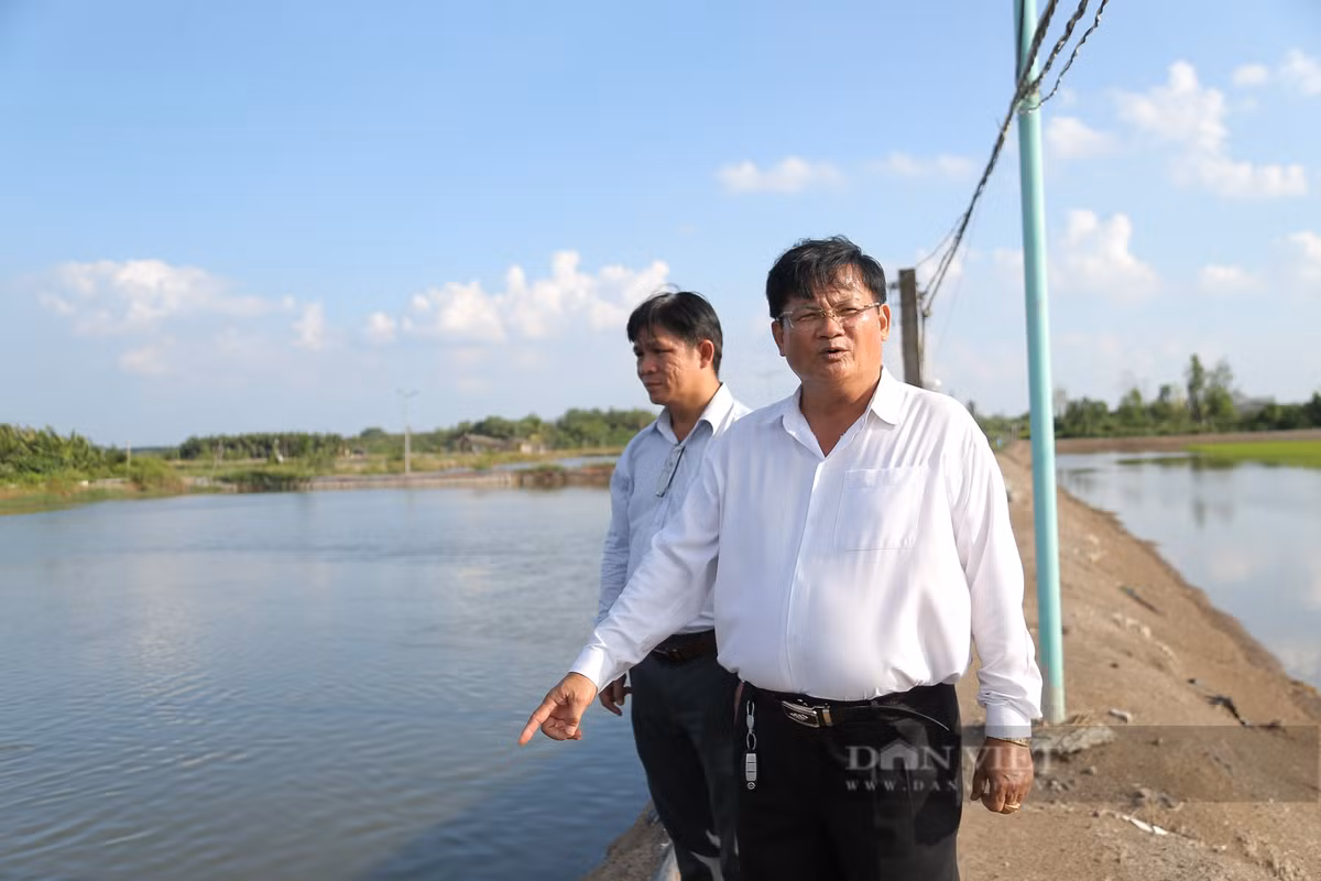 Từ nuôi tôm đến cá dứa, nông dân Cần Giờ thành “đại gia” nức tiếng Tu nuoi tom den ca dua, nong dan Can Gio thanh “dai gia” nuc tieng