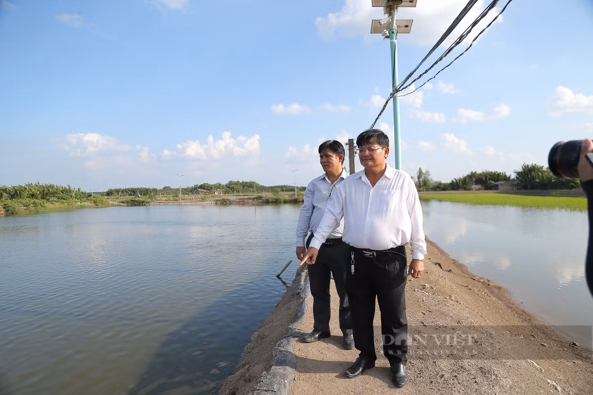 Từ nuôi tôm đến cá dứa, nông dân Cần Giờ thành “đại gia” nức tiếng - Hình 3 Tu nuoi tom den ca dua, nong dan Can Gio thanh “dai gia” nuc tieng-Hinh-3