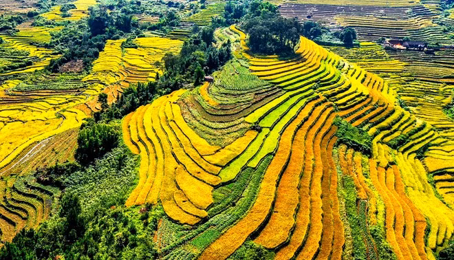 4 diem den Viet Nam duoc du khach nuoc ngoai khen dep vo thuc-Hinh-11