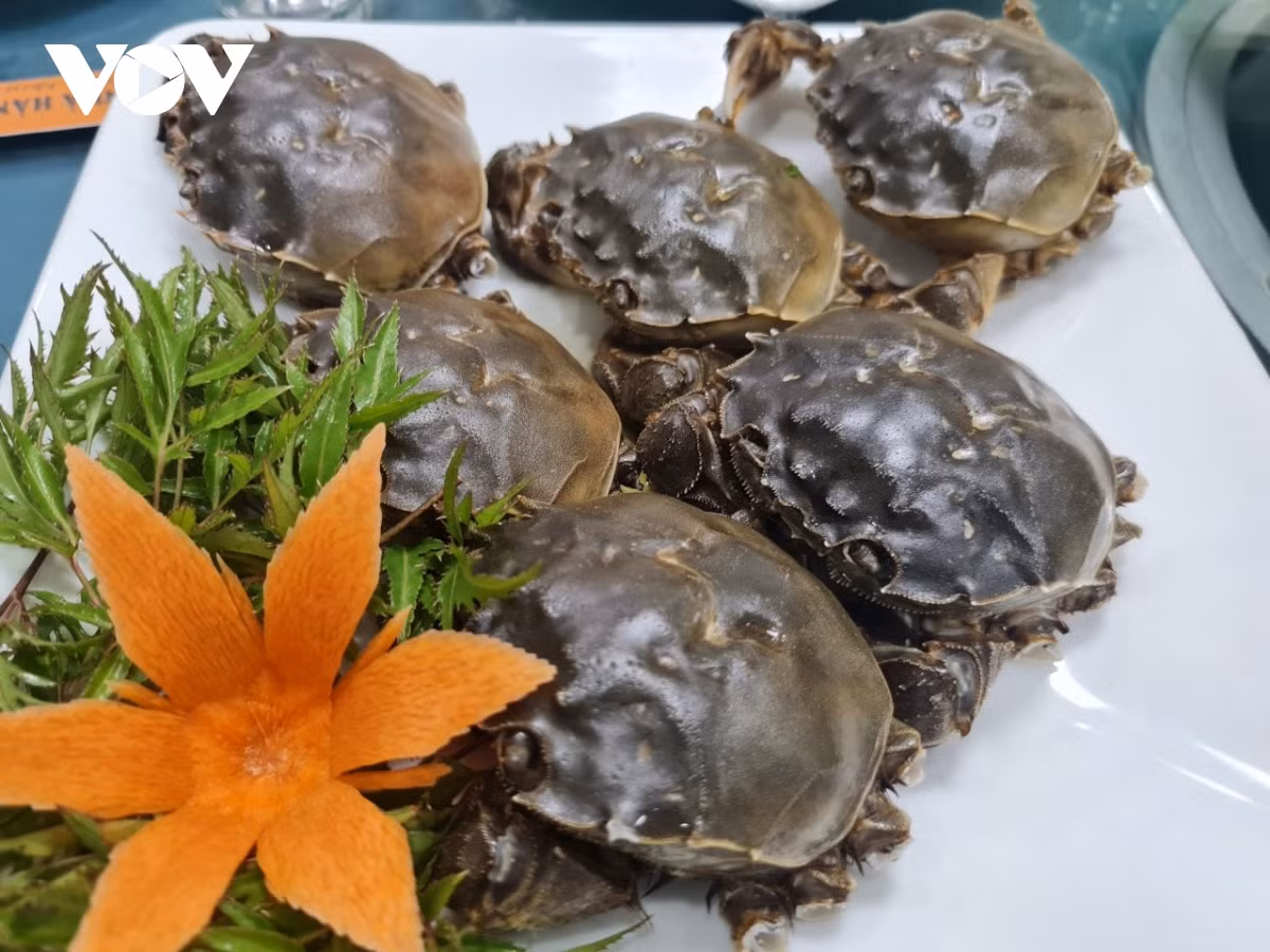 Loại cua bò dưới sông Cầu của Bắc Giang, đại gia muốn ăn - Hình 3 Loai cua bo duoi song Cau cua Bac Giang, dai gia muon an-Hinh-3