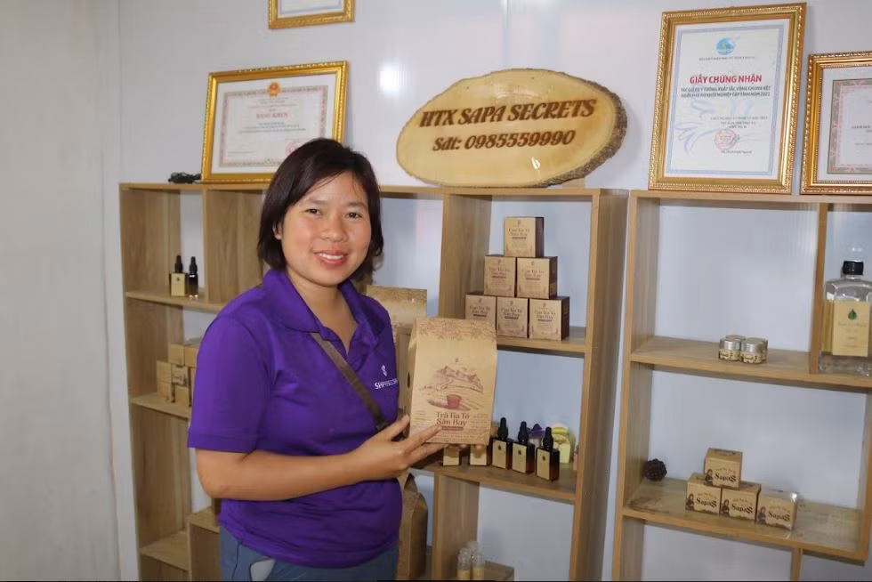 Nữ nông dân Sa Pa "biến" rau gia vị quen thuộc thành "vàng" xuất khẩu - Hình 2 Nu nong dan Sa Pa