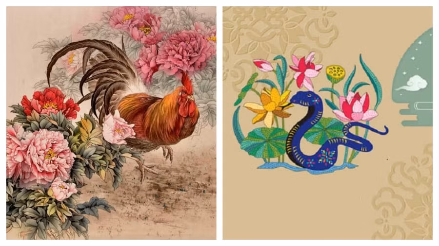  Tuổi Dậu. Tử vi cho biết những người tuổi Dậu vốn có tính cách thẳng thắn, trung thực, luôn có trách nhiệm với bản thân và gia đình. 