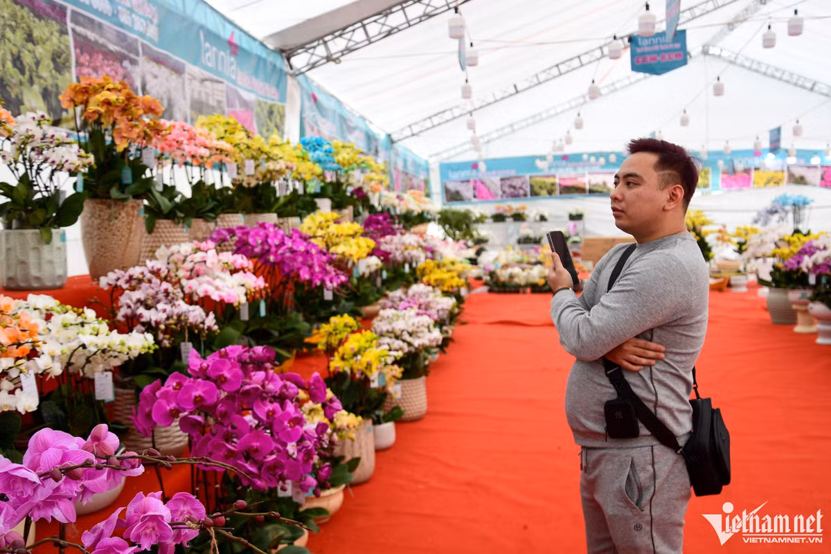 Là một người thích chơi lan, năm nào anh Vương (quận Thanh Xuân) cũng đều mua loài hoa này về bày và đem biếu, tặng người thân, bạn bè, đồng nghiệp. "Lan năm nay mẫu mã ít so với mọi năm nhưng giá cả khá bình ổn. Mỗi năm, tôi đều chi gần 100 triệu để mua hoa chơi Tết", anh nói.