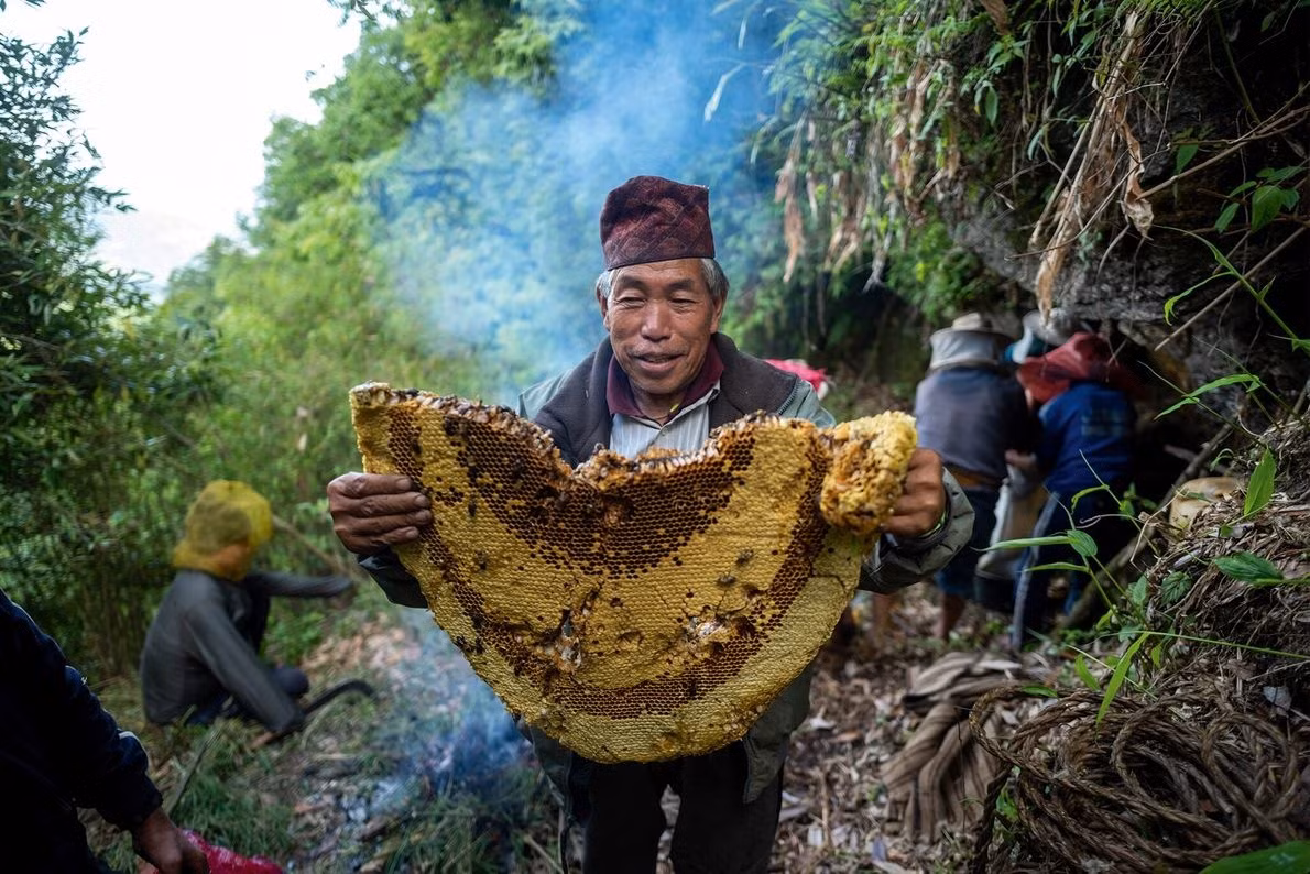 Purna Bahadur Gurung từng là một thợ săn mật ong từ năm 17 tuổi. Ông hiện tại trở thành trưởng nhóm săn mật ong sau cái chết của người thủ lĩnh trước. Mặc dù không còn trực tiếp tham gia vào vụ thu hoạch, ông vẫn đi cùng đội hàng năm để đào tạo các thành viên trẻ hơn. Với vai trò là người lãnh đạo và người có kinh nghiệm nhất trong nhóm, ông thực hiện nghi thức lễ thờ cúng puja, sử dụng kiến thức được truyền lại bởi thế hệ trước.