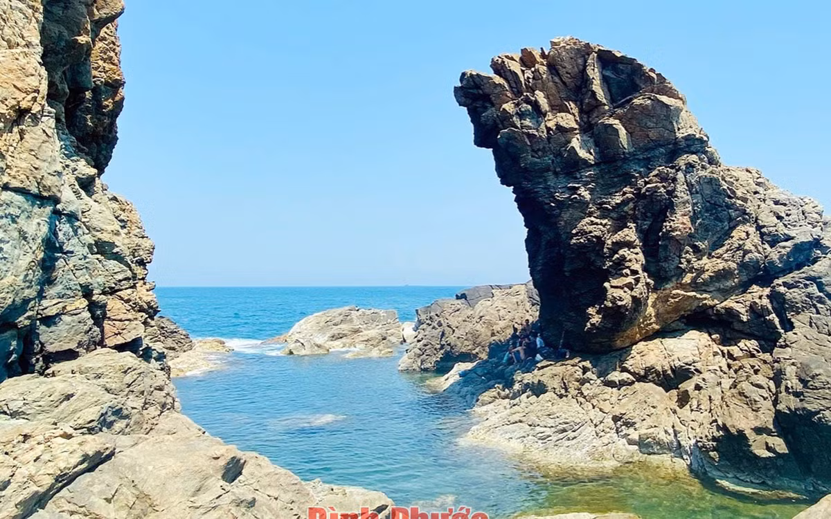 Nuôi cá dứa, nông dân vùng Cần Giờ nhà nào cũng giàu - Hình 2 Nuoi ca dua, nong dan vung Can Gio nha nao cung giau-Hinh-2