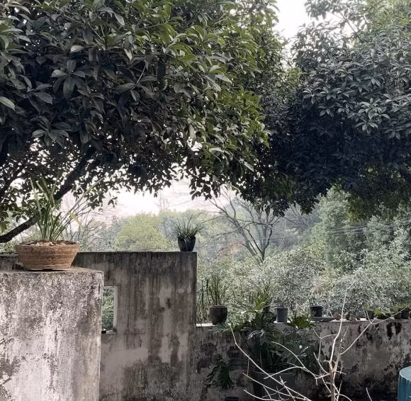 Dung de 6 loai nguoi nay den nha, nhat dinh phai nho!-Hinh-2